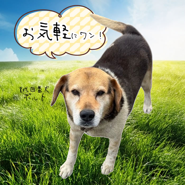 お問い合わせイメージ